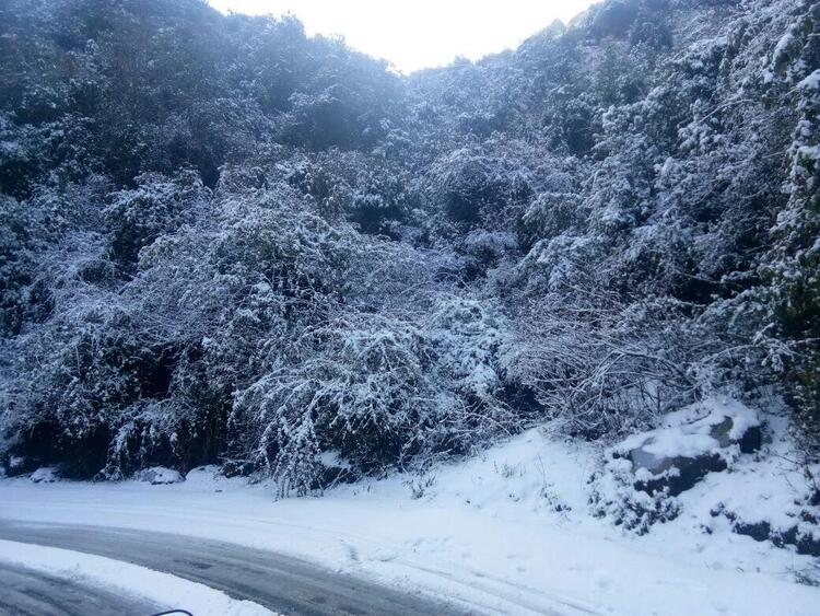 बरफ/Snowfall