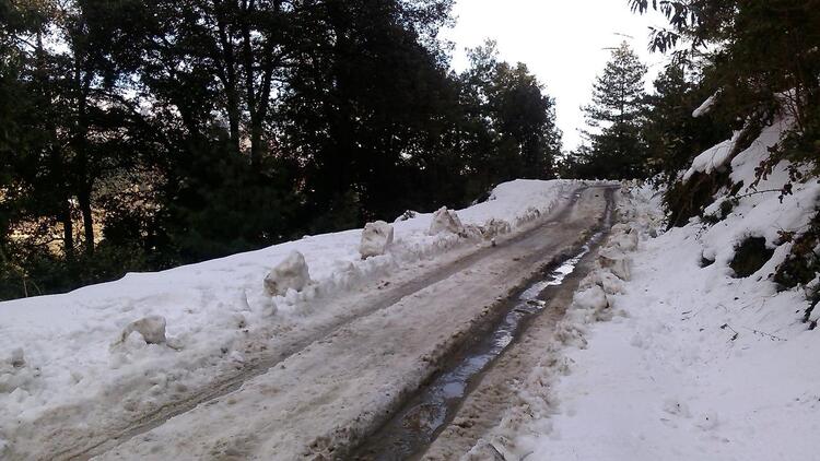 बरफ/Snowfall